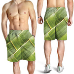 Coconut Leaf Print Men's Shorts