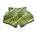 Coconut Leaf Print Muay Thai Boxing Shorts