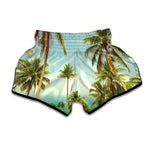 Coconut Tree Print Muay Thai Boxing Shorts