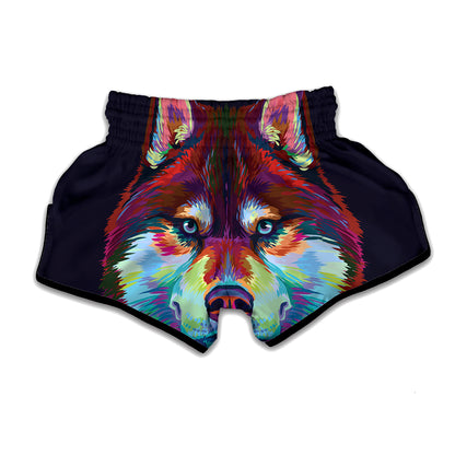 Colorful Siberian Husky Print Muay Thai Boxing Shorts