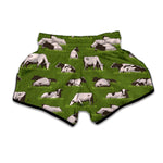 Cow On Green Grass Pattern Print Muay Thai Boxing Shorts