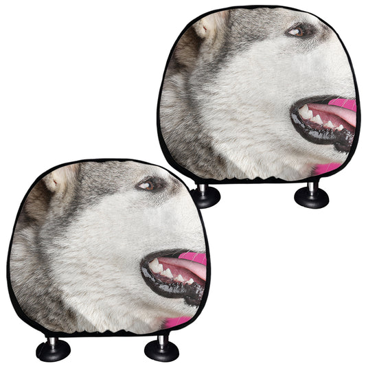 Cute Alaskan Malamute Print Car Headrest Covers