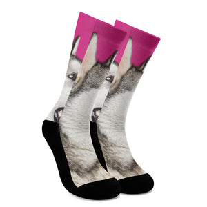 Cute Alaskan Malamute Print Crew Socks