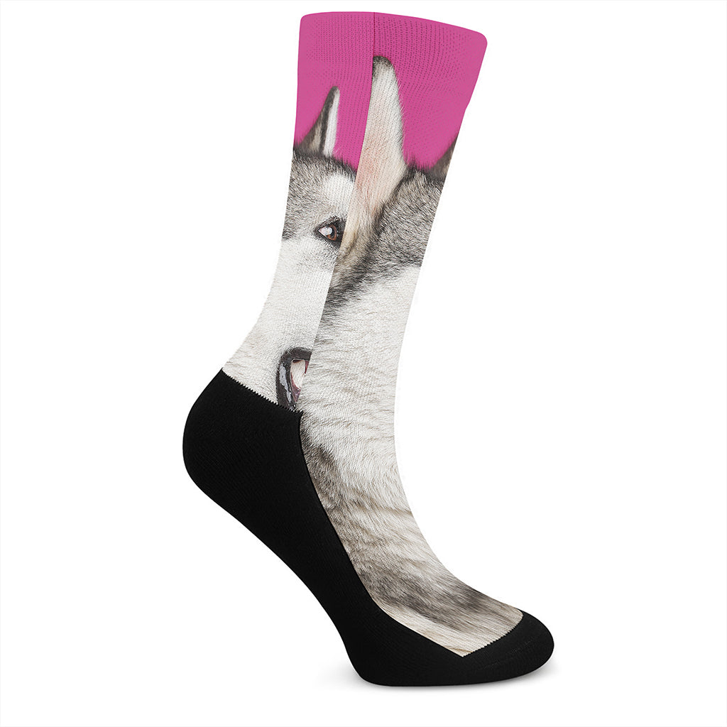 Cute Alaskan Malamute Print Crew Socks