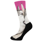 Cute Alaskan Malamute Print Crew Socks