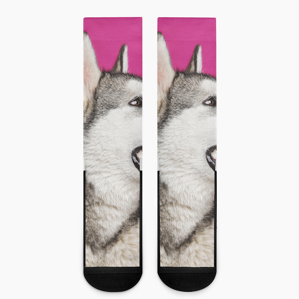 Cute Alaskan Malamute Print Crew Socks