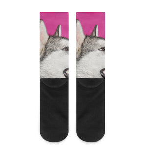 Cute Alaskan Malamute Print Crew Socks