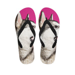Cute Alaskan Malamute Print Flip Flops