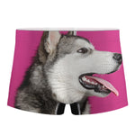 Cute Alaskan Malamute Print Men's Boxer Briefs