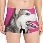 Cute Alaskan Malamute Print Men's Boxer Briefs