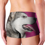 Cute Alaskan Malamute Print Men's Boxer Briefs