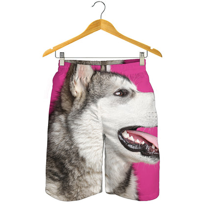 Cute Alaskan Malamute Print Men's Shorts