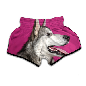 Cute Alaskan Malamute Print Muay Thai Boxing Shorts