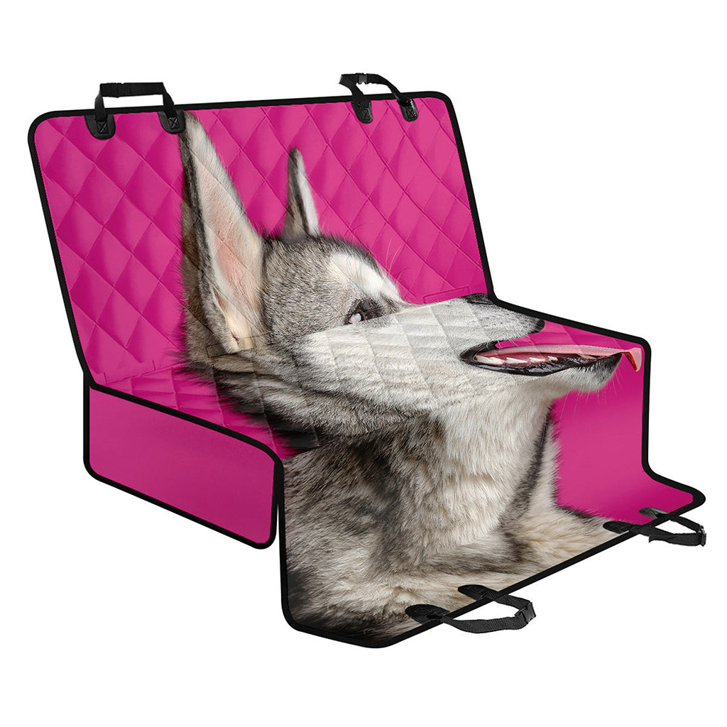 Cute Alaskan Malamute Print Pet Car Back Seat Cover