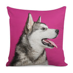 Cute Alaskan Malamute Print Pillow Cover