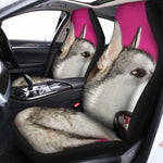 Cute Alaskan Malamute Print Universal Fit Car Seat Covers