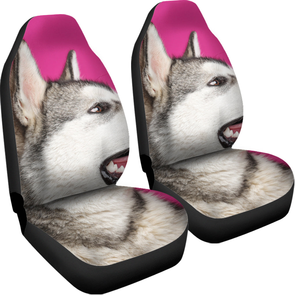 Cute Alaskan Malamute Print Universal Fit Car Seat Covers