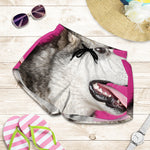 Cute Alaskan Malamute Print Women's Shorts