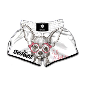 Cute Chihuahua With Glasses Print Muay Thai Boxing Shorts