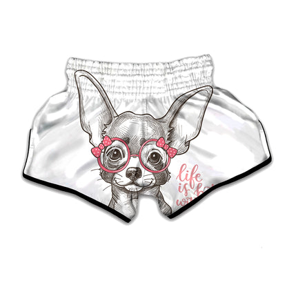 Cute Chihuahua With Glasses Print Muay Thai Boxing Shorts
