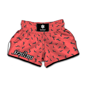 Cute Dachshund Pattern Print Muay Thai Boxing Shorts