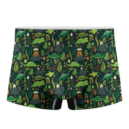 Cute Dinosaur And Floral Pattern Print Men's Boxer Briefs