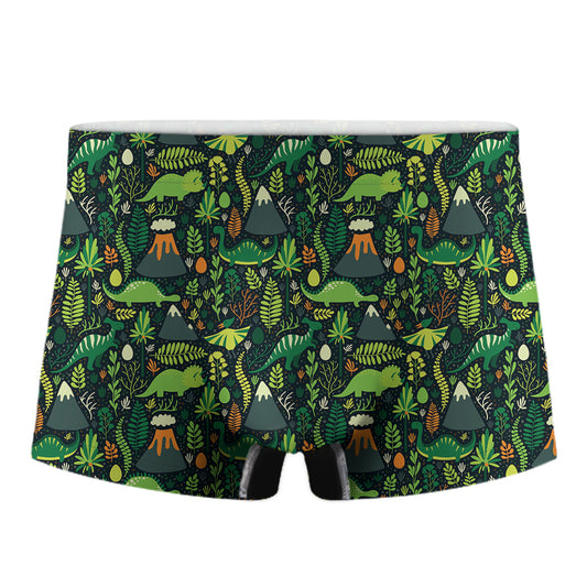 Cute Dinosaur And Floral Pattern Print Men's Boxer Briefs