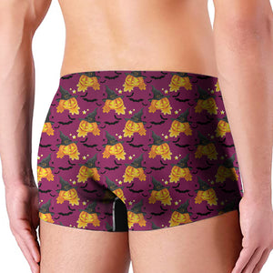 Cute Halloween Pumpkin Witch Print Men's Boxer Briefs