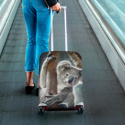 Cute Koala Print Luggage Cover