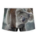 Cute Koala Print Men's Boxer Briefs