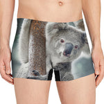 Cute Koala Print Men's Boxer Briefs