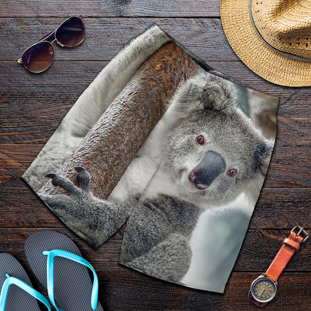 Cute Koala Print Men's Shorts