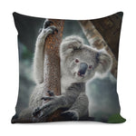 Cute Koala Print Pillow Cover