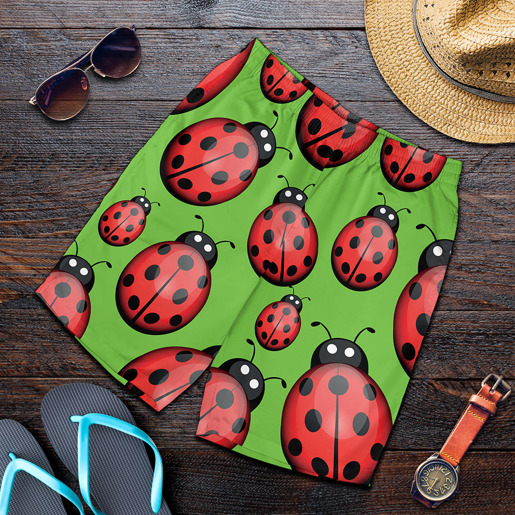 Cute Ladybug Pattern Print Men's Shorts