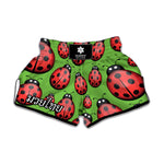 Cute Ladybug Pattern Print Muay Thai Boxing Shorts