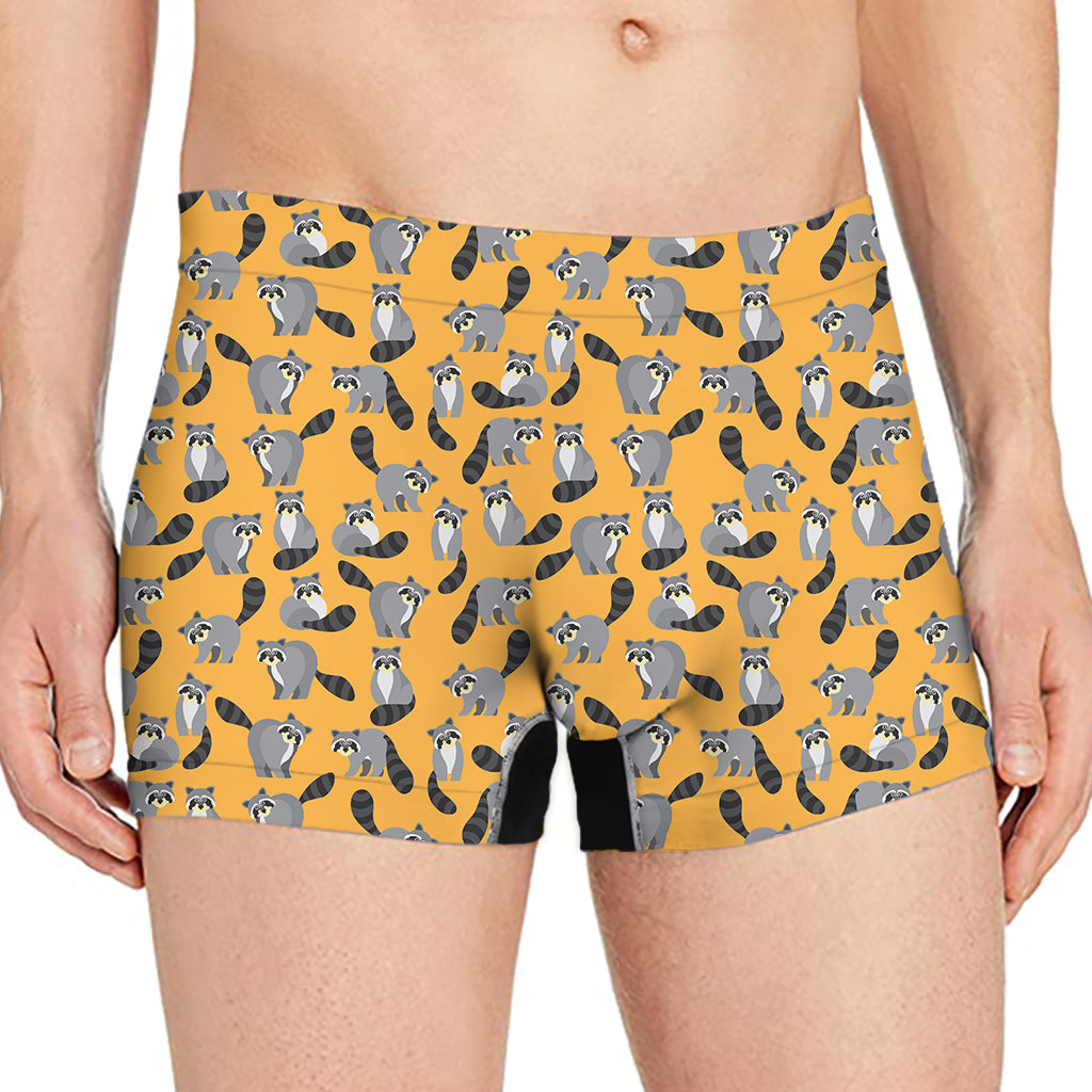 Cute Raccoon Pattern Print Men's Boxer Briefs