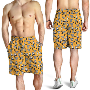Cute Raccoon Pattern Print Men's Shorts