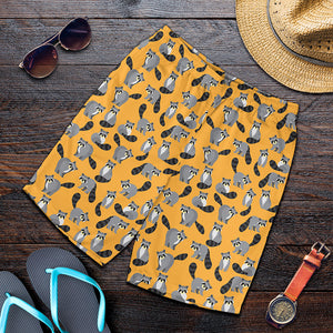 Cute Raccoon Pattern Print Men's Shorts