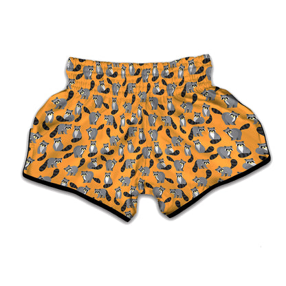 Cute Raccoon Pattern Print Muay Thai Boxing Shorts