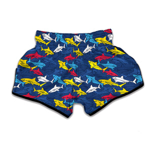 Doodle Shark Pattern Print Muay Thai Boxing Shorts