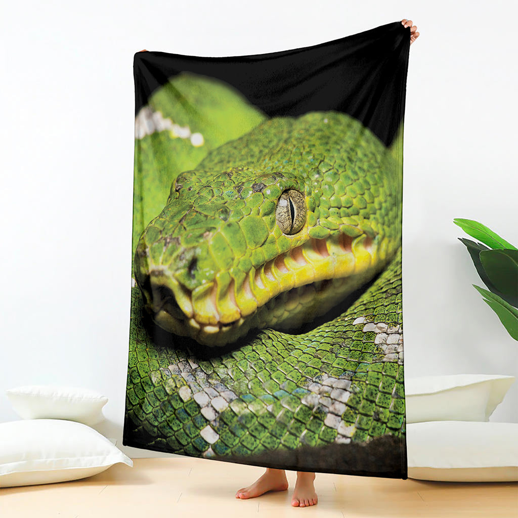 Emerald Tree Boa Snake Print Blanket