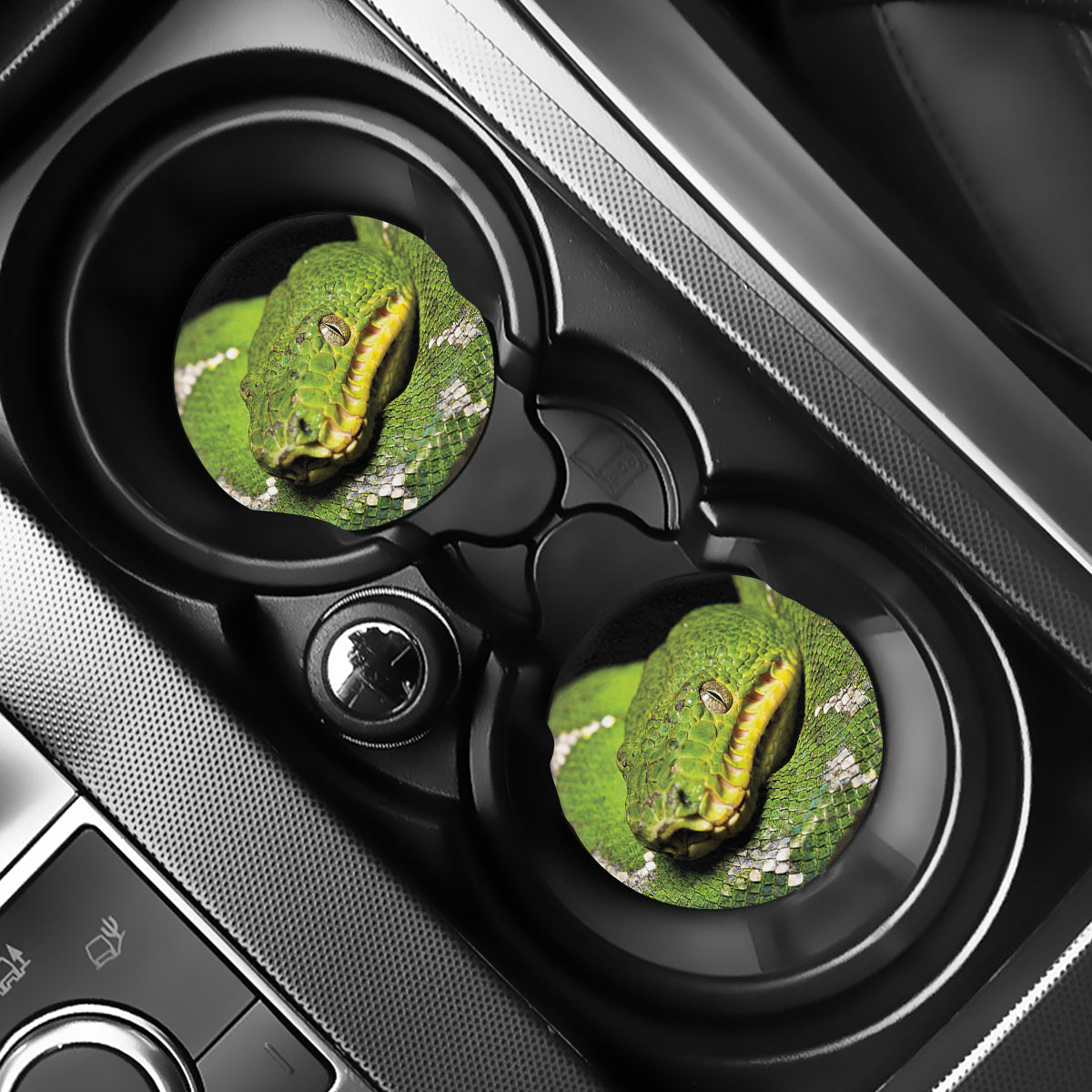 Emerald Tree Boa Snake Print Car Coasters