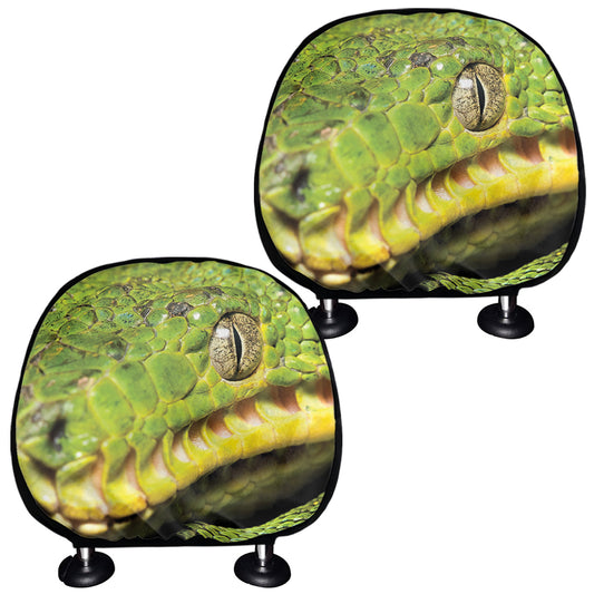 Emerald Tree Boa Snake Print Car Headrest Covers