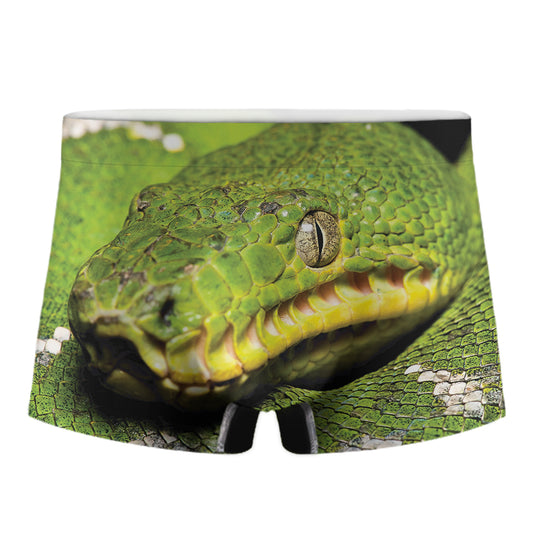 Emerald Tree Boa Snake Print Men's Boxer Briefs