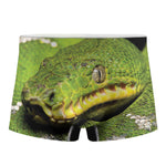 Emerald Tree Boa Snake Print Men's Boxer Briefs