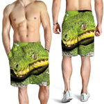 Emerald Tree Boa Snake Print Men's Shorts
