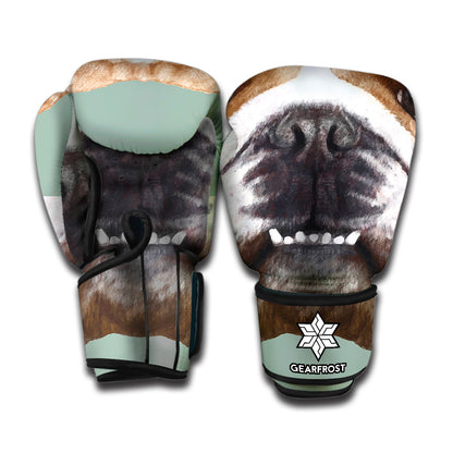 English Bulldog Portrait Print Boxing Gloves