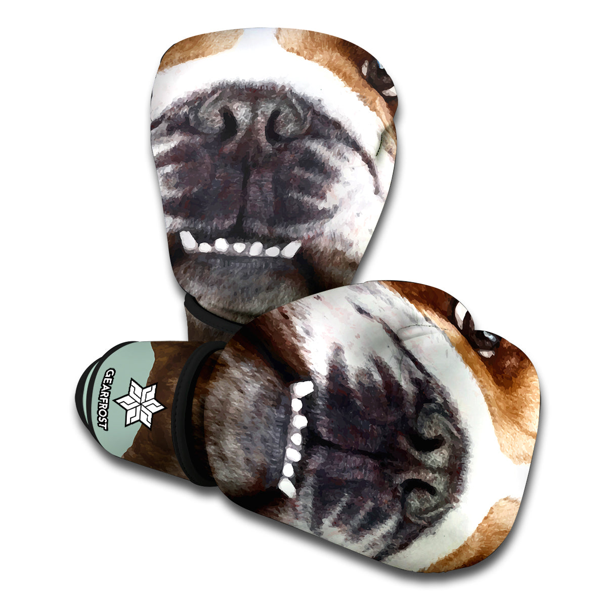 English Bulldog Portrait Print Boxing Gloves