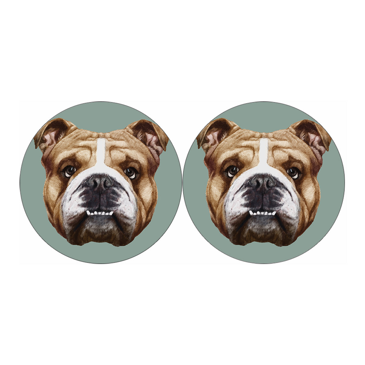 English Bulldog Portrait Print Car Coasters