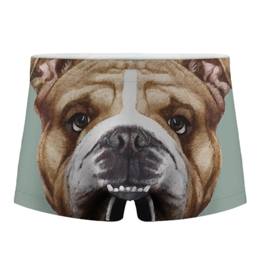 English Bulldog Portrait Print Men's Boxer Briefs